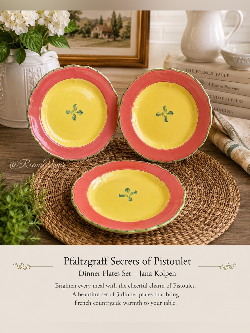 ☀️ Pistoulet Dinner Plates Set of 3 by Pfaltzgraff – Jana Kolpen